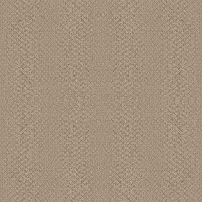 Shaw Floors Builder Specified Treasure Isle Wheat 00110_HGR74