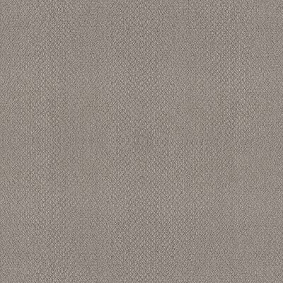 Shaw Floors Builder Specified Water’s Edge Asteroid 00515_HGR77