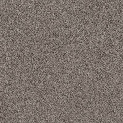 Shaw Floors Essential Art (a) Oyster(a) 00506_HGR85