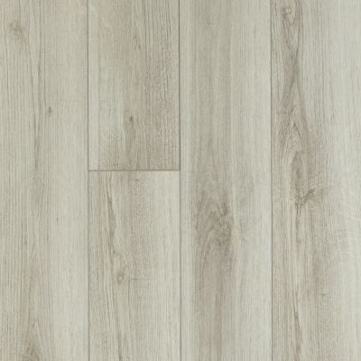 Shaw Floors Resilient Residential Trask Plus Pecorino 00157_HSS48