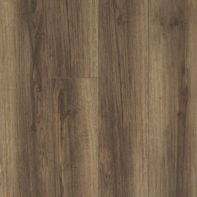 Shaw Floors Resilient Residential Trask Plus Cocco 00758_HSS48