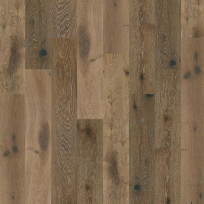 Shaw Floors Shaw Hardwoods Mammoth Baroque 05031_HSS66