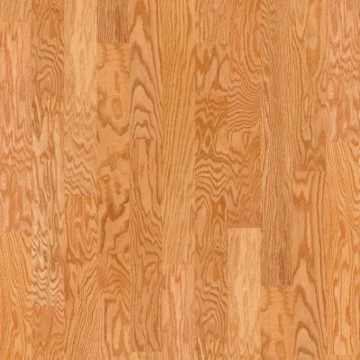 Shaw Floors Home Fn Gold Hardwood Ruger Oak 5 Natural Oak 01000_HW538