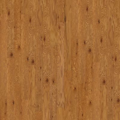 Shaw Floors Duras Hardwood All In II 5 Caramel 00223_HW582