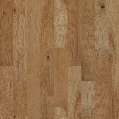 Shaw Floors Duras Hardwood West Valley Sunkissed 01008_HW593