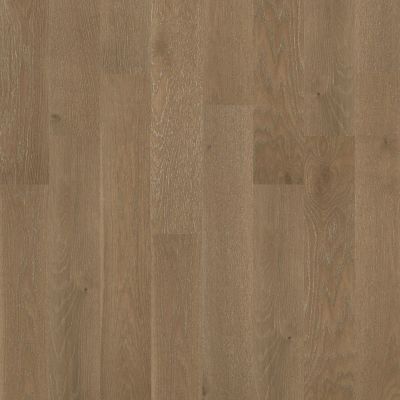 Shaw Floors Home Fn Gold Hardwood Aston Hall Majesty 07014_HW637
