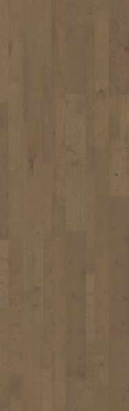 Shaw Floors Home Fn Gold Hardwood Siesta Key Oceanside 00529_HW642