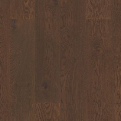 Shaw Floors Home Fn Gold Hardwood Perspectives Muse 07078_HW707