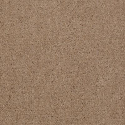 Patcraft Encore Collection Windsweptencore Grain 00144_I0200