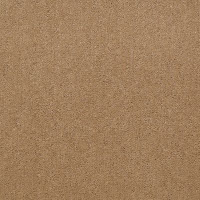 Patcraft Encore Collection Windsweptencore Llama 00156_I0200