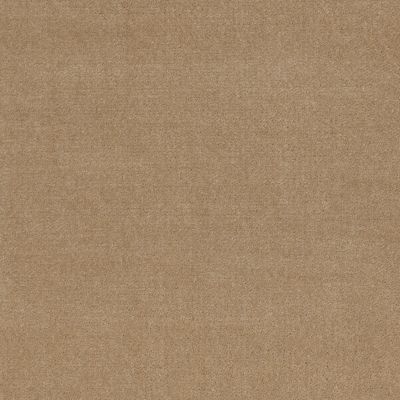 Patcraft Encore Collection Windsweptencore Whole Wheat 00157_I0200