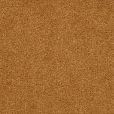 Patcraft Encore Collection Windsweptencore Saffron 00245_I0200