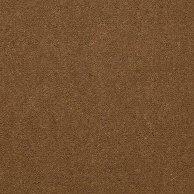 Patcraft Encore Collection Windsweptencore Pecan 00250_I0200