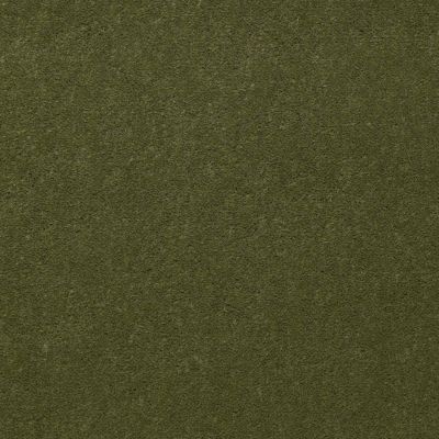 Patcraft Encore Collection Windsweptencore Money 00311_I0200