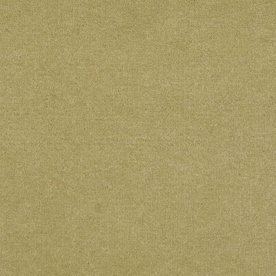 Patcraft Encore Collection Windsweptencore Lichen 00318_I0200