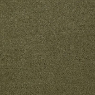 Patcraft Encore Collection Windsweptencore Herb 00323_I0200