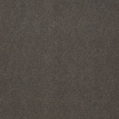Patcraft Encore Collection Windsweptencore Seal 00592_I0200