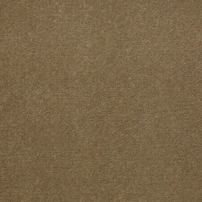 Patcraft Encore Collection Windsweptencore Sesame 00756_I0200