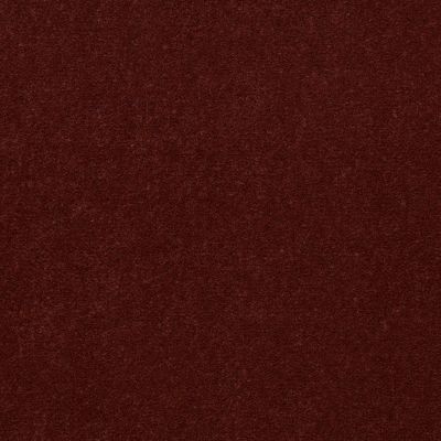 Patcraft Encore Collection Windsweptencore Mesa 00820_I0200