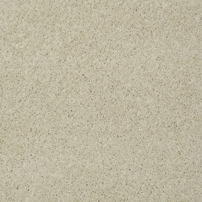 Shaw Floors St Jude Butterfly Kisses II Antique White 00151_JD301