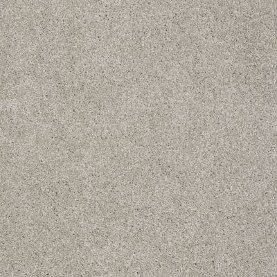 Shaw Floors St Jude Butterfly Kisses III Satin Shimmer 00164_JD302