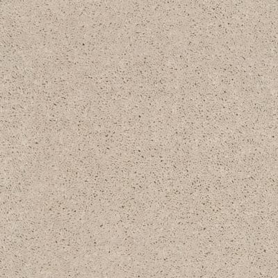 Shaw Floors Lennar Homes Fairbain Sugar Cookie 00122_LR117