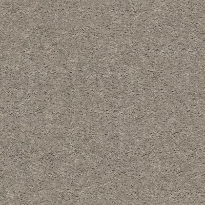 Shaw Floors Lennar Homes Fairbain Perfect Taupe 00715_LR117