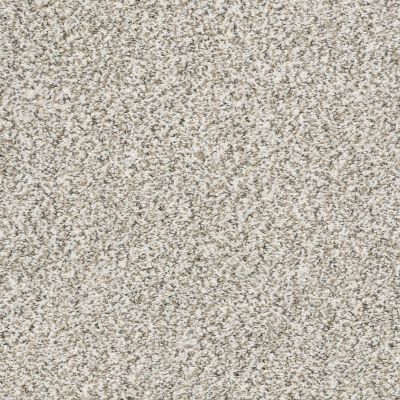 Shaw Floors Lennar Homes Norwick Quartz 00130_LR120