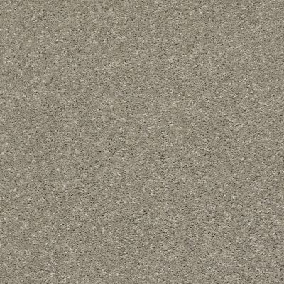Shaw Floors Lennar Homes Norwick Rustic Taupe 00722_LR120