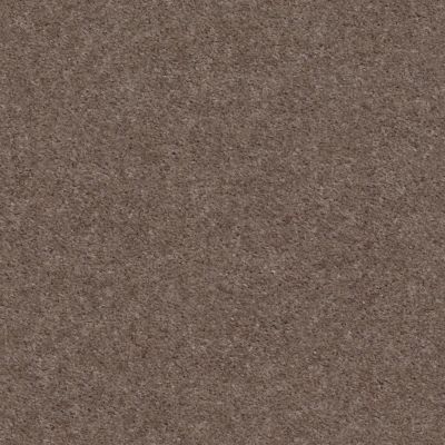 Shaw Floors Lennar Homes Lisburry Isle Chic Taupe 00791_LR140
