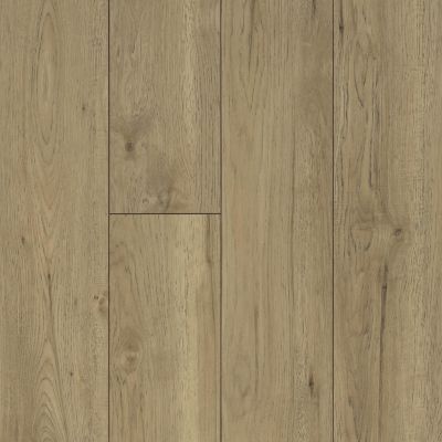 Shaw Floors Lennar Homes Nottington Golden Sands 02023_LR734