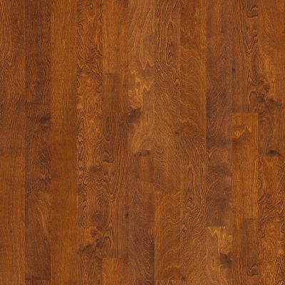 Shaw Floors Briar Grove 5 Burnside 00627_LR905
