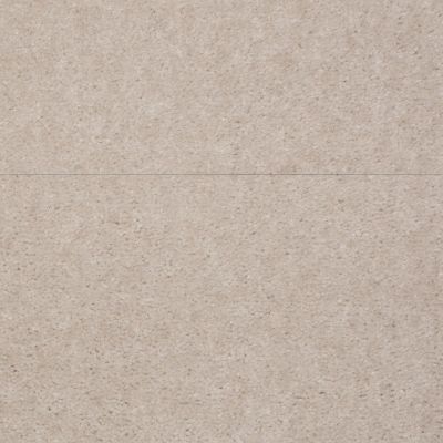 Shaw Floors Ash Brook Basic Beige 03105_LS003