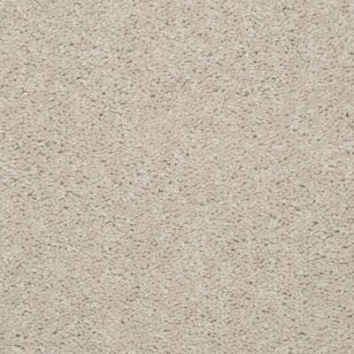 Shaw Floors Deerwood II 15 Marble 55150_LS056