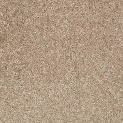 Shaw Floors Queen Roadster Tomorrow’s Taupe 00726_Q0993