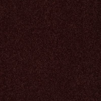 Shaw Floors Sandy Hollow Classic I 12′ Rouge Red 00820_E0548