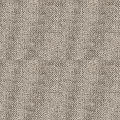 Shaw Floors Truly Relaxed Loop Textured Canvas 00150_E0657