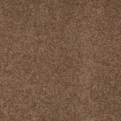 Shaw Floors SFA Timeless Appeal I 15′ Pine Cone 00703_Q4311