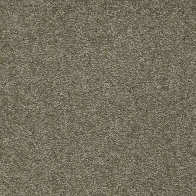 Shaw Floors Couture’ Collection ULTIMATE EXPRESSION 12′ Alpine Fern 00305_19698