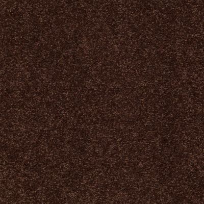 Shaw Floors Couture’ Collection ULTIMATE EXPRESSION 12′ Coffee Bean 00711_19698