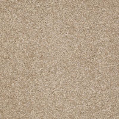 Shaw Floors Couture’ Collection Ultimate Expression 15′ Sahara 00205_19829