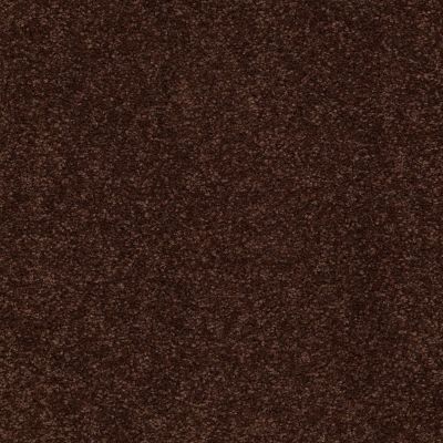 Shaw Floors Couture’ Collection Ultimate Expression 15′ Coffee Bean 00711_19829