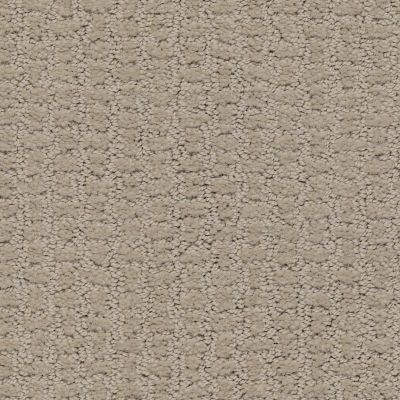 Shaw Floors Complete Control Studio Taupe 00173_E9722