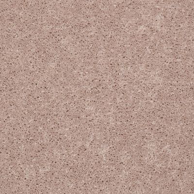 Shaw Floors Queen Point Guard 12′ Flax Seed 00103_Q4855