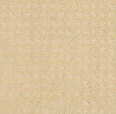 Shaw Floors Value Collections Alluring Disposition Net Golden Rule 00185_E9777