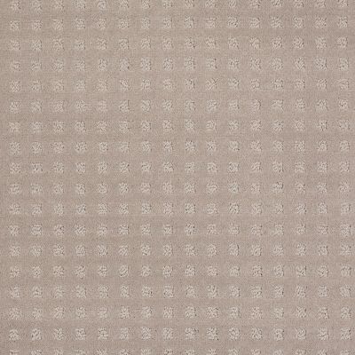 Shaw Floors Shaw Flooring Gallery Made To Be Yours Grey Dove 00500_5282G