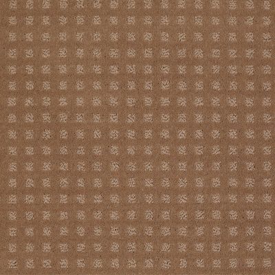 Shaw Floors Shaw Flooring Gallery MADE TO BE YOURS Townhouse Taupe 00705_5282G