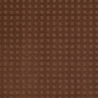 Shaw Floors Shaw Flooring Gallery MADE TO BE YOURS Mocha Chip 00706_5282G
