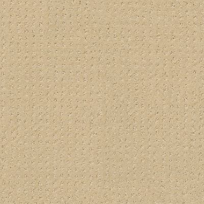 Shaw Floors My Choice Pattern French Linen 00103_E0653