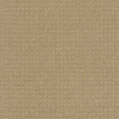 Shaw Floors ENDURING COMFORT PATTERN Clay Stone 00108_E0404